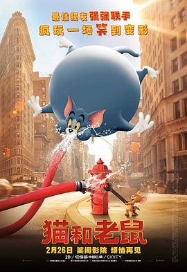 杜比视界