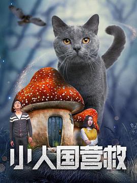 正片