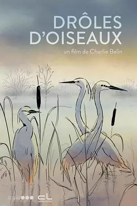 简繁英字幕
