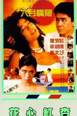 高清影视