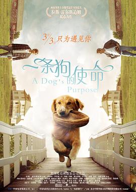 免费高清在线观看