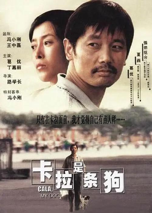 全集免费观看超清