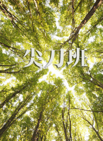 手机免费播放