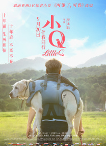 清晰在线播放观看