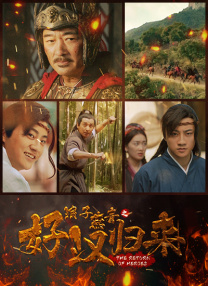DVD高清完整版
