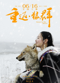 手机免费播放