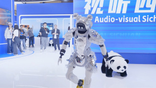 完结完整版观看