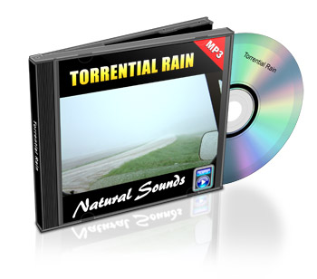 Now Age Books - Sound Scapes Audio Tracks - Torrential Rain - nowagebooks.com