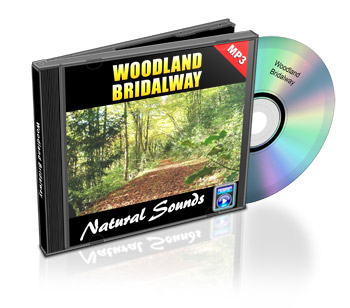 Now Age Books - SoundScapes Audio Tracks - Woodland Bridalway - nowagebooks.com