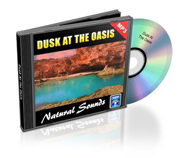 Now Age Books - SoundScapes Audio Tracks - Dusk at the Oasis - nowagebooks.com