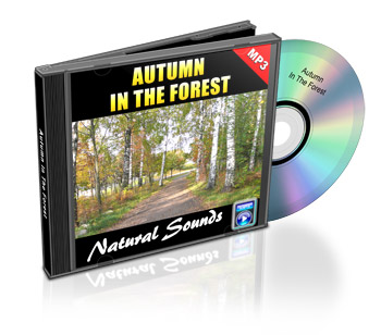 Now Age Books - SoundScapes Audio Tracks - Autumn In The Forest - nowagebooks.com