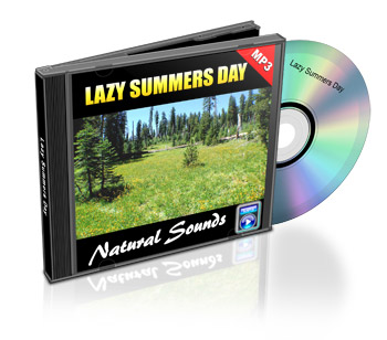 Now Age Books - SoundScapes Audio Tracks - Lazy Summer Day - nowagebooks.com