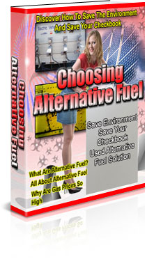 Now Age Books - Choosing Alternative Fuel - nowagebooks.com