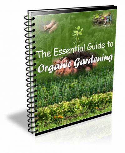 Now Age Books - Organic Gardening Essentials - nowagebooks.com