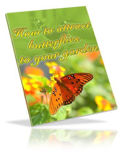 Now Age Books - How to Attract Butterflies - nowagebooks.com