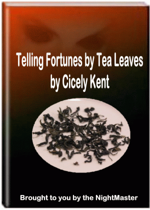 Now Age Books - Telling Fortunes by Tea Leaves - nowagebooks.com