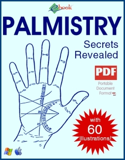 Now Age Books - Palmistry Secrets - nowagebooks.com