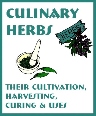 Now Age Books - Culinary Herbs - nowagebooks.com