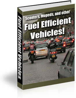 Now Age Books - Fuel Efficient Vehicles - nowagebooks.com