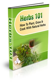 Now Age Books - Herbs 101 - nowagebooks.com