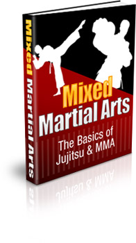 Now Age Books - MMA Basics - nowagebooks.com