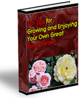 Now Age Books - 101 Rose Garden Tips - nowagebooks.com